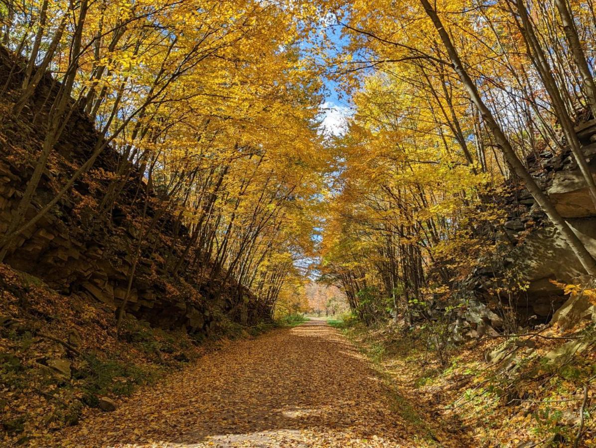 Stay In Ohiopyle In The Middle Of Town By The Gap Trail Esterno foto